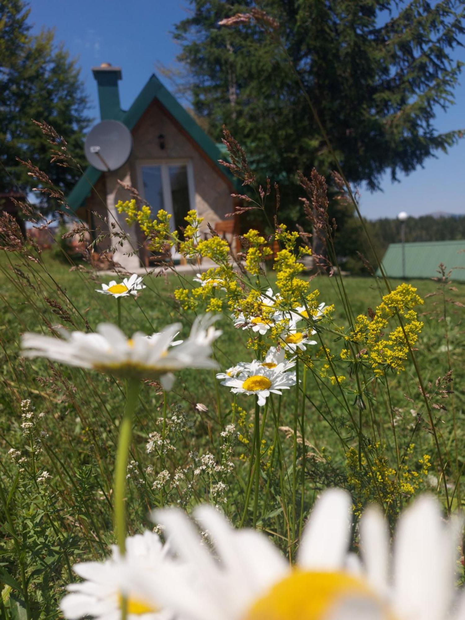 Durmitor Bungalows Žabljak Εξωτερικό φωτογραφία
